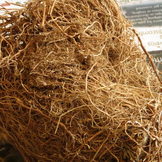 🌿 Racines de Vétiver Séchées  -Chrysopogon zizanioides– Vente en Gros ou en Vrac