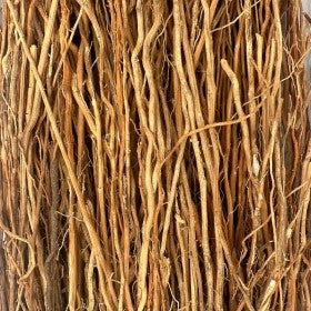 🌿 Racines de Vétiver Séchées  -Chrysopogon zizanioides– Vente en Gros ou en Vrac